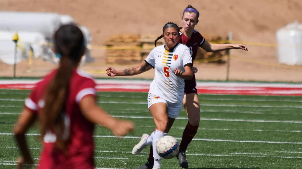 Female field hockey players compete for the ball on a sunny outdoor turf; white jersey with number 5 leads the attack.