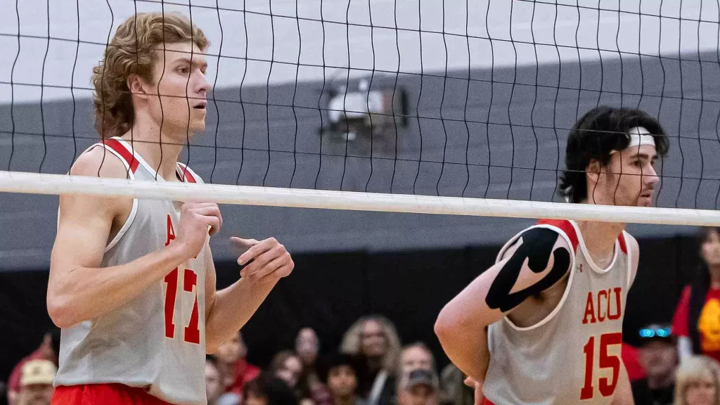 Two volleyball players in gray uniforms with red numbers move along the net during a match, with fans in the background.