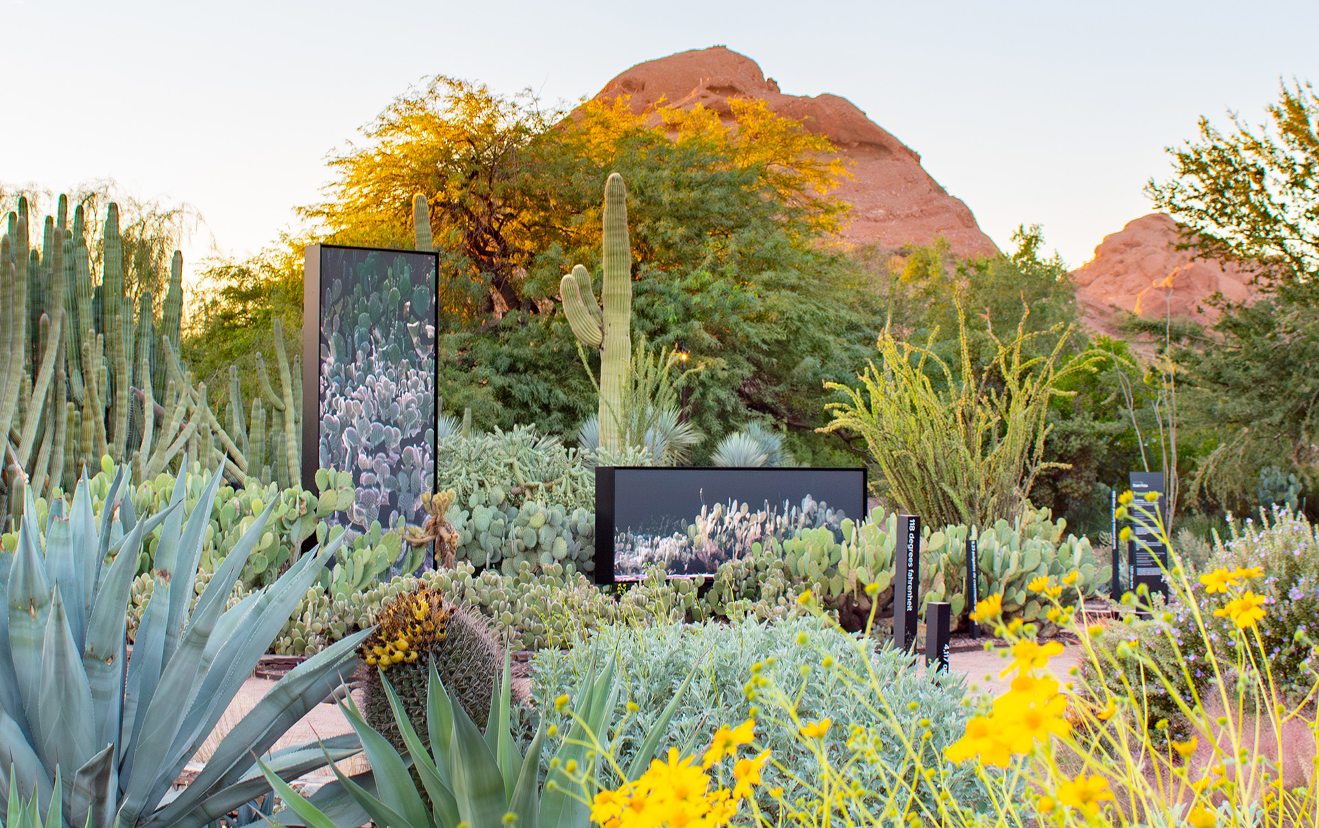 Local & Regional Attractions - Arizona Christian University
