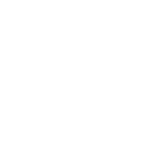 Bird Head White