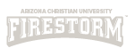 Wordmark Grey