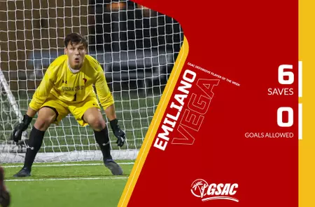 Soccer goalkeeper in a yellow kit guarding the goal, with a red banner displaying a player name and stats: 6 saves, 0 goals allowed.